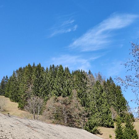 Berggasthaus Prager Boden Todtnau Esterno foto