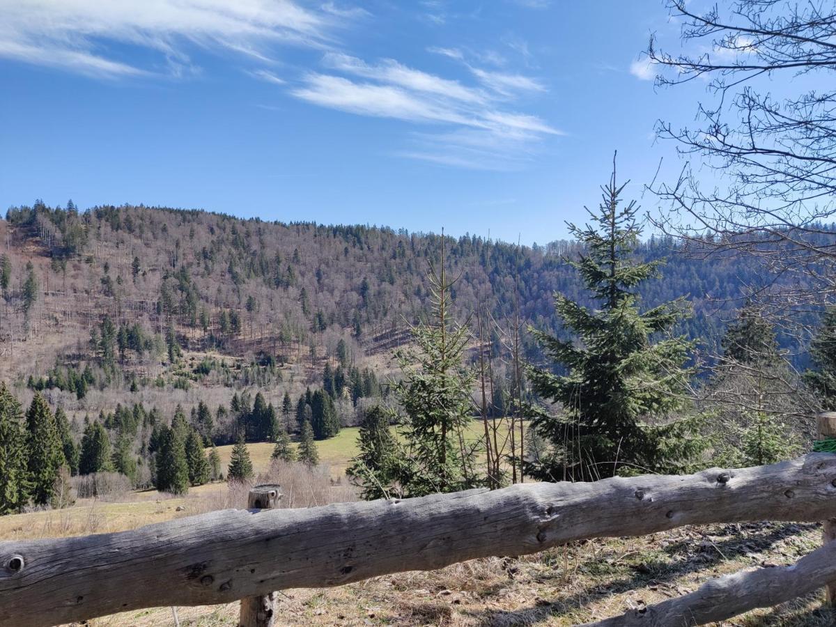 Berggasthaus Prager Boden Todtnau Esterno foto