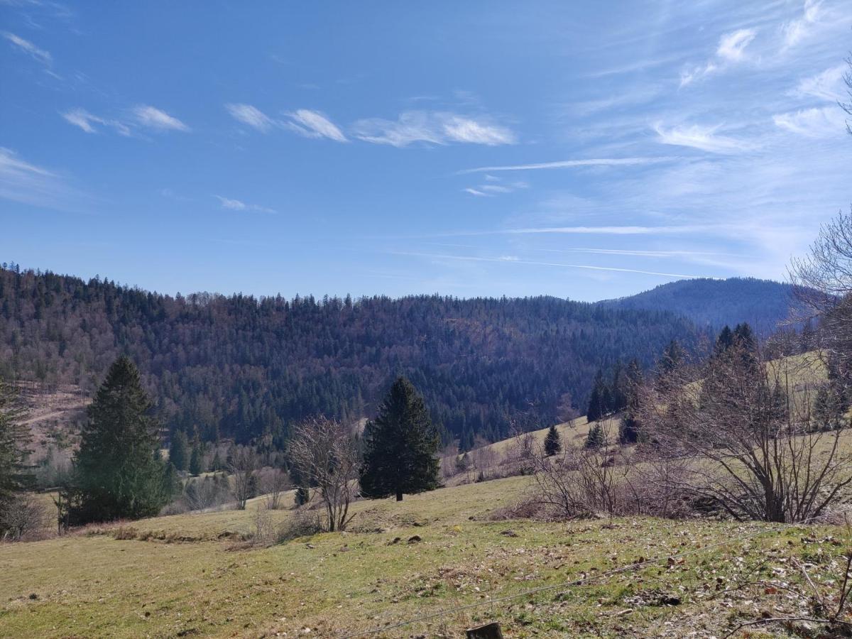 Berggasthaus Prager Boden Todtnau Esterno foto