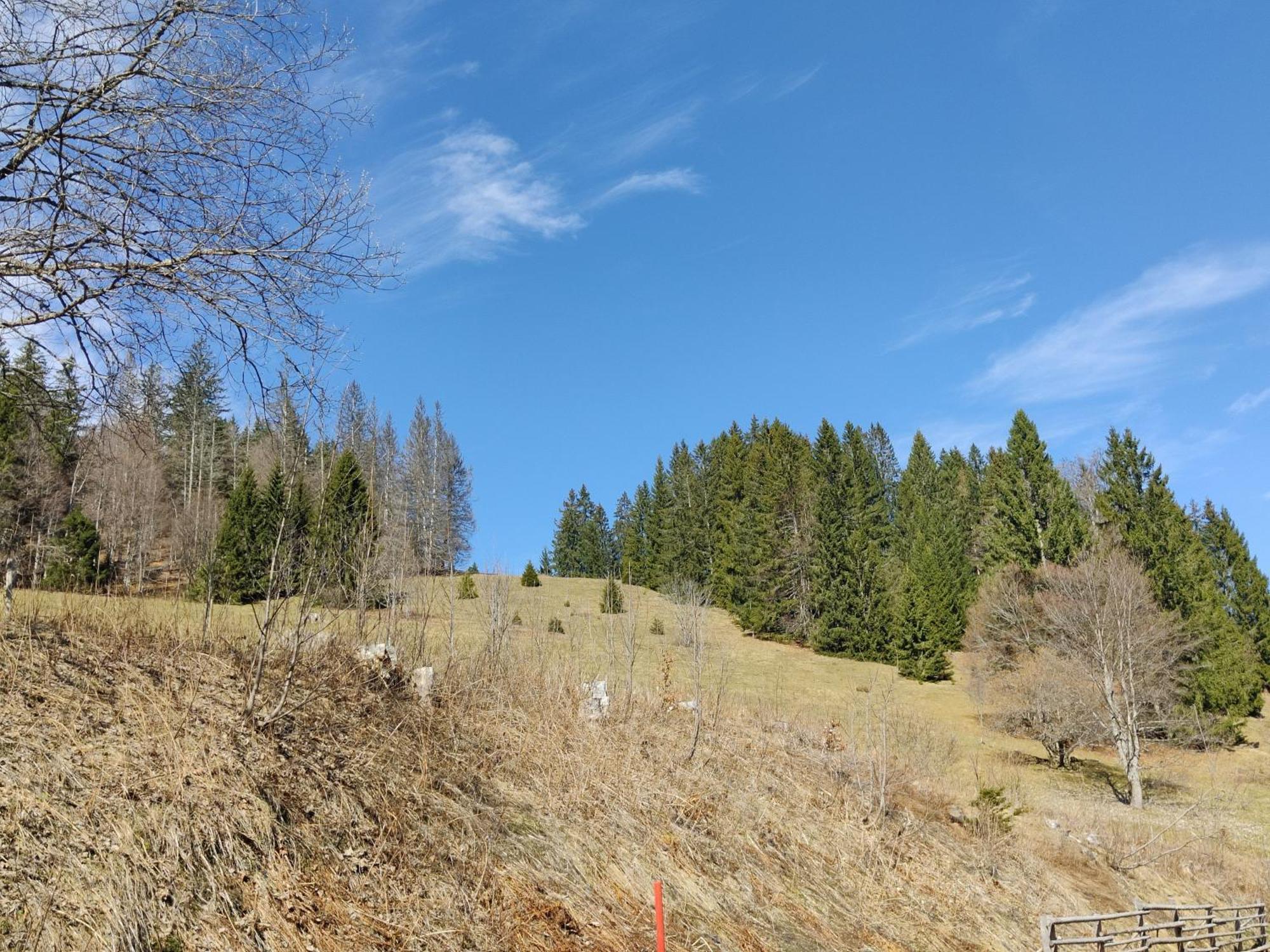 Berggasthaus Prager Boden Todtnau Esterno foto