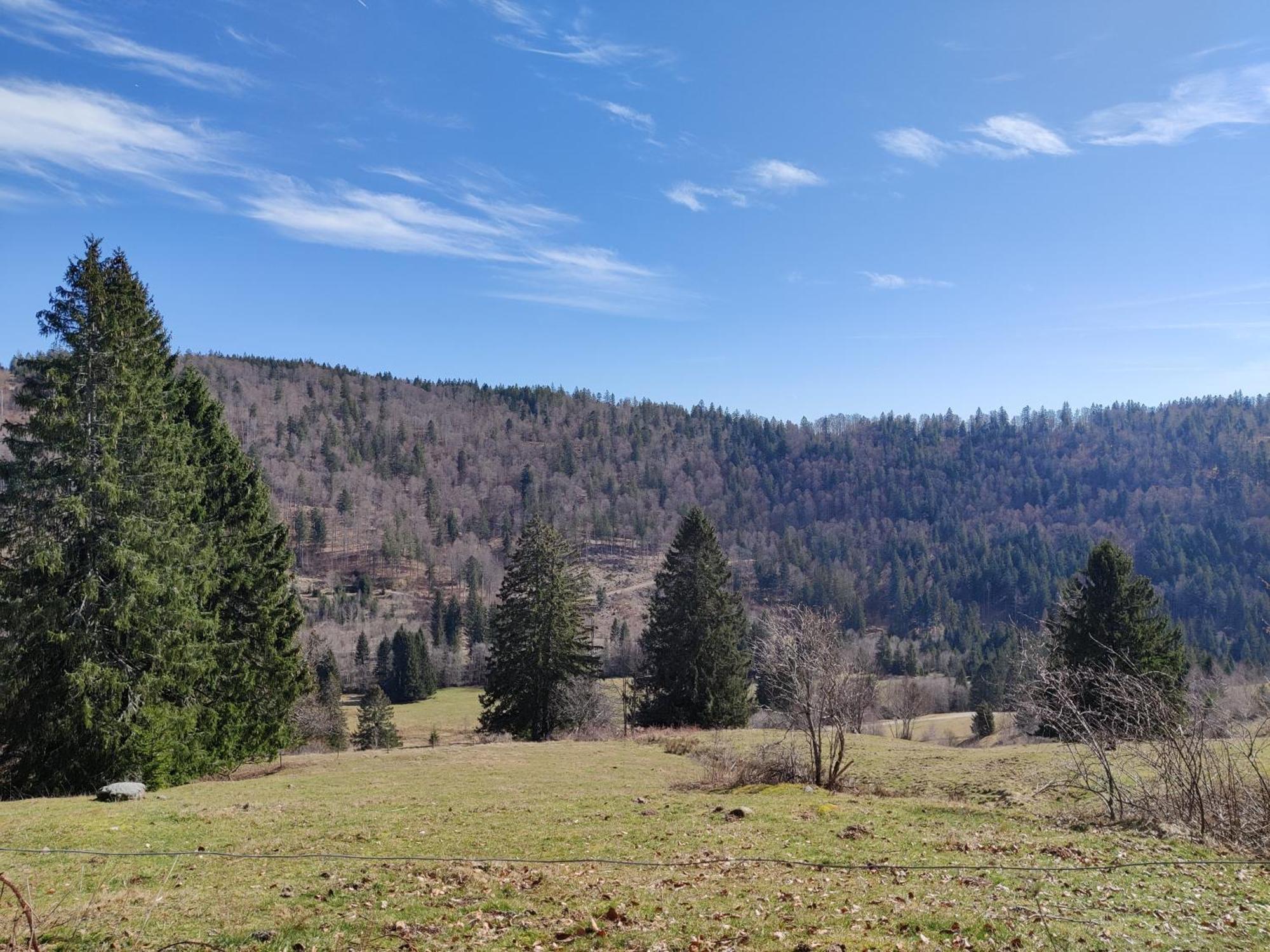 Berggasthaus Prager Boden Todtnau Esterno foto