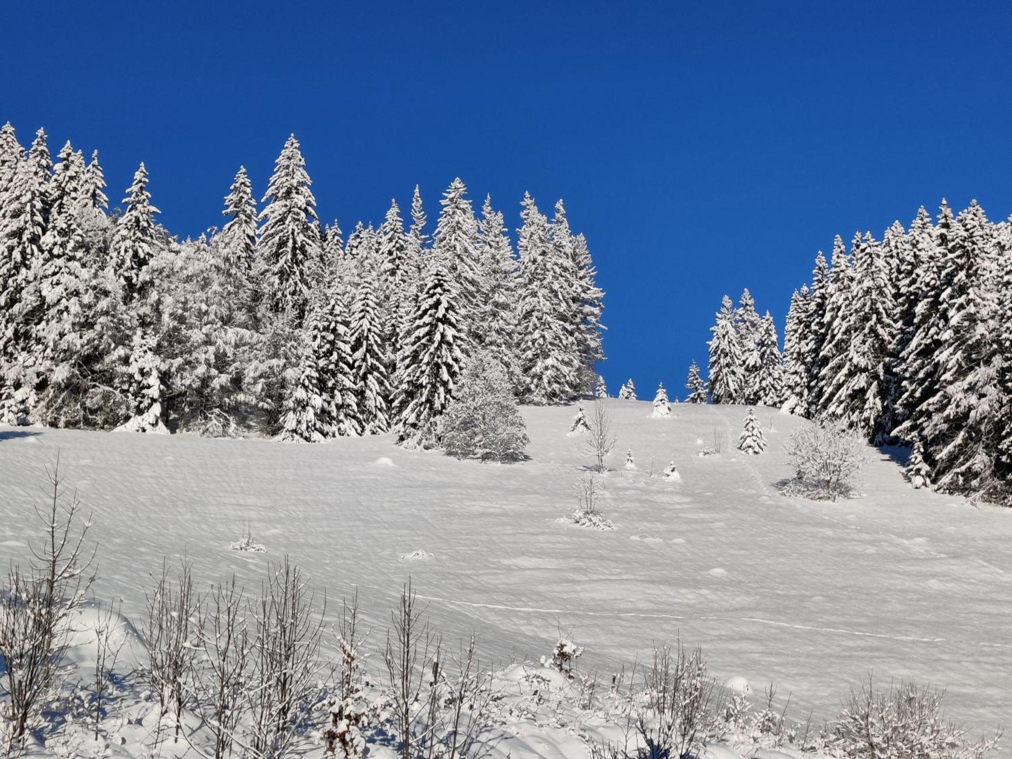 Berggasthaus Prager Boden Todtnau Esterno foto