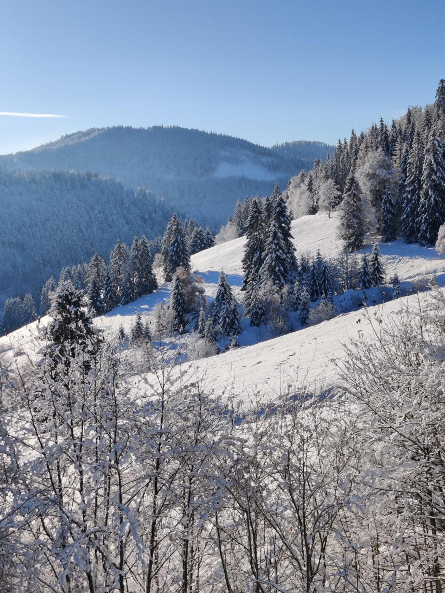 Berggasthaus Prager Boden Todtnau Esterno foto