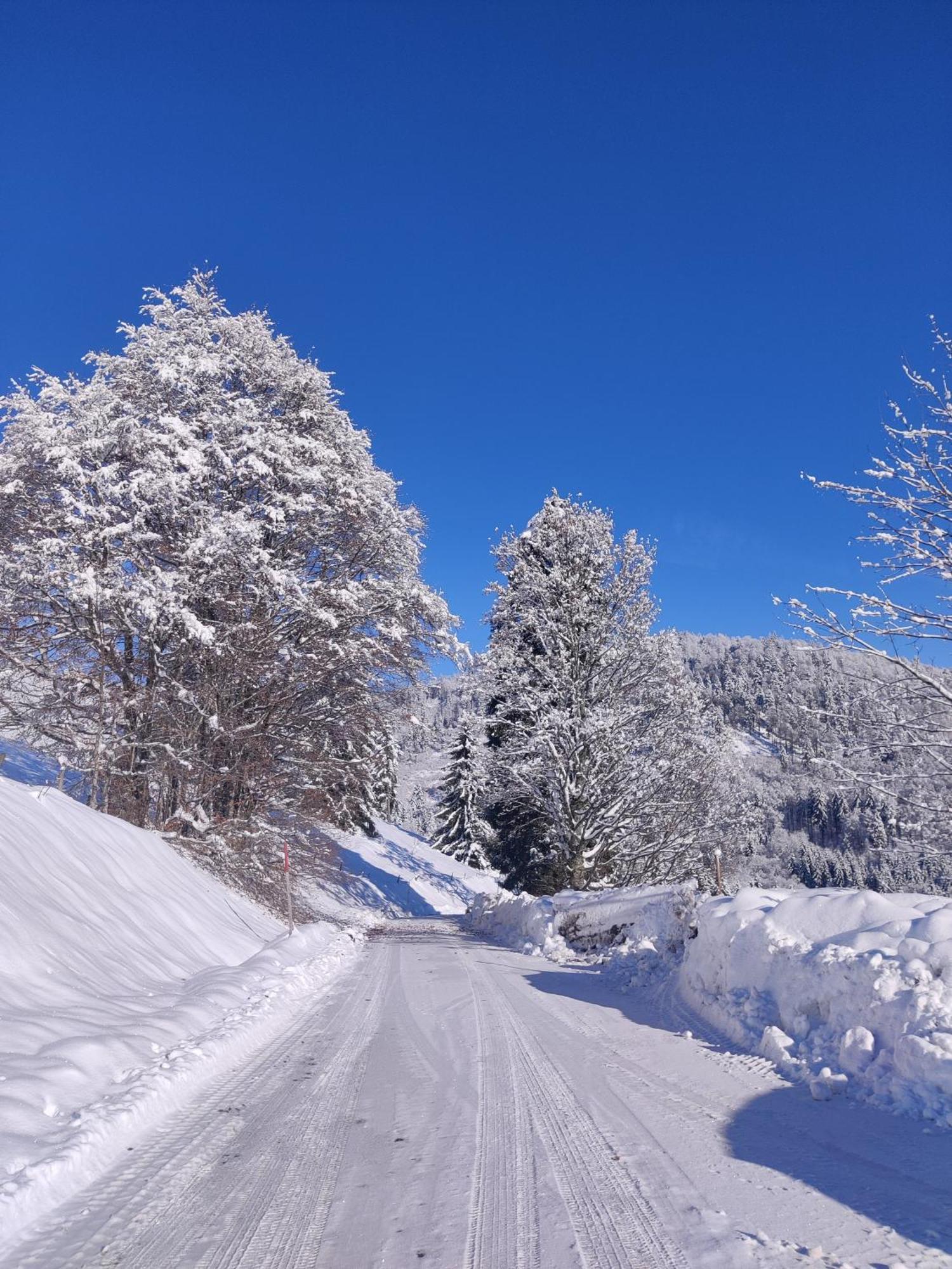Berggasthaus Prager Boden Todtnau Esterno foto