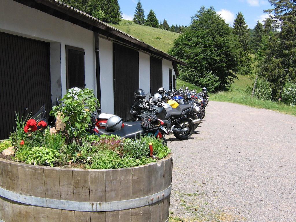 Berggasthaus Prager Boden Todtnau Esterno foto