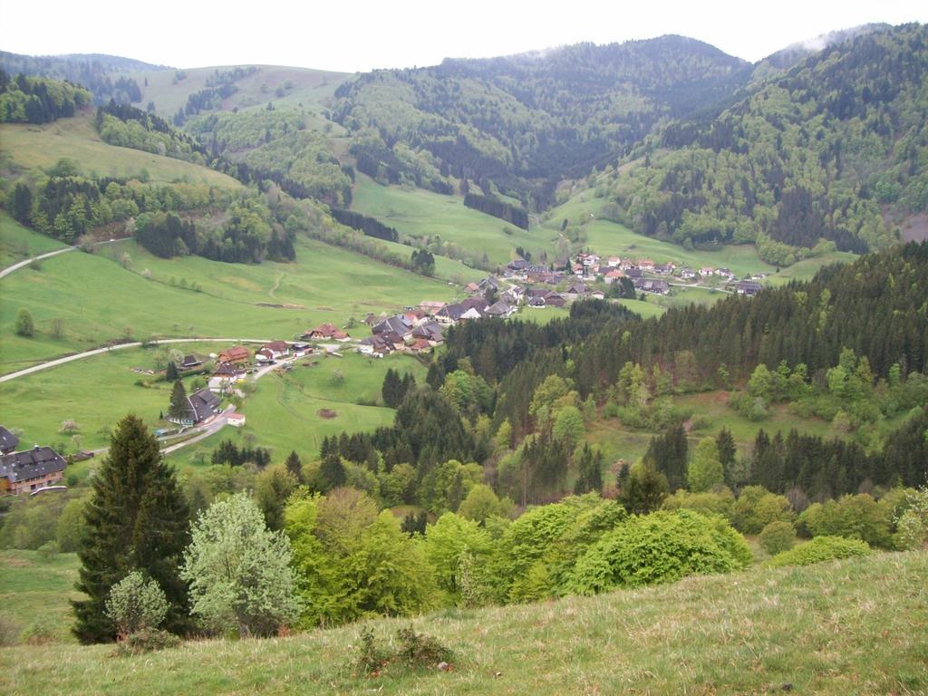 Berggasthaus Prager Boden Todtnau Esterno foto