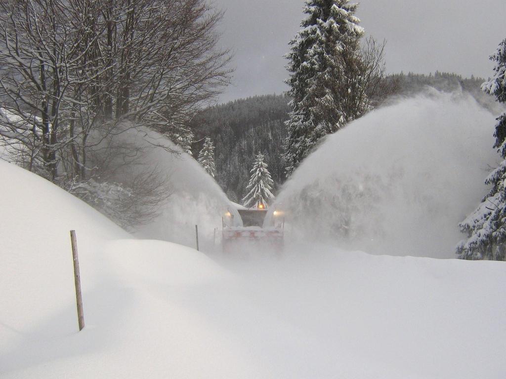 Berggasthaus Prager Boden Todtnau Esterno foto